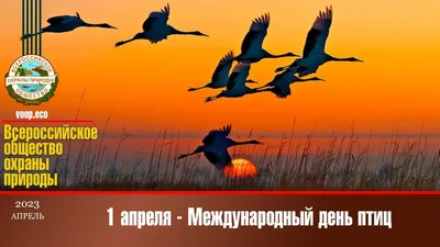 Минприроды КЧР - 📆#экокалендарь09 🕊1 апреля - Международный день птиц 🦅В  1927 году в СССР День птиц утвердился как юннатский весенний праздник. С  тех пор такое мероприятие стало массовым, и его отмечали
