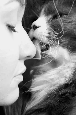 Девушка кошка с котёнок» — создано в Шедевруме