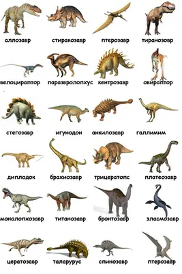 Динозавров на русском с картинками обои