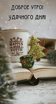 Новогоднее 🎅🍊🎄🍊☃️ Утро доброе! | Праздничные открытки, Рождественские  картины, Зимние развлечения