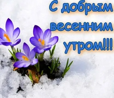 Доброго благословенного утра: красивые фото для вдохновения - pictx.ru