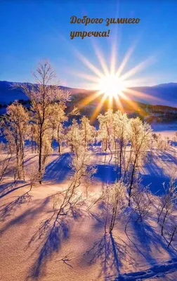 Доброго зимнего утра\" картинки красивые (75 штук)