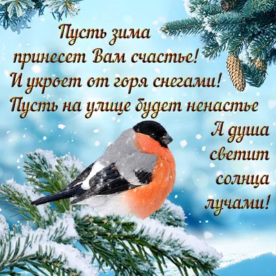 Добрый день 🤗#зима#декабрь2023 | Instagram