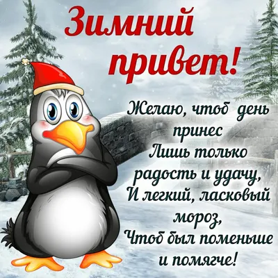 Доброго зимнего дня и хорошего настроения! Добрый день! Зима! Добрый день!  Открытка с пингвинами и снежинками... | Страница 3