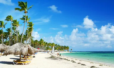 Погода в Доминикане по месяцам 2024 ☀️ (температура воздуха и воды)