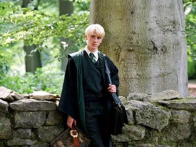 Драко Малфой | Harry potter draco malfoy, Draco malfoy, Tom felton draco  malfoy