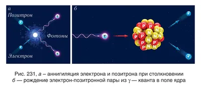 44. Элементарные частицы и их взаимодействия
