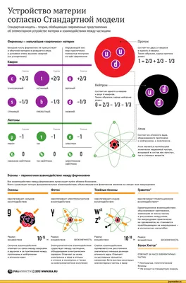 Элементарные частицы и их свойства