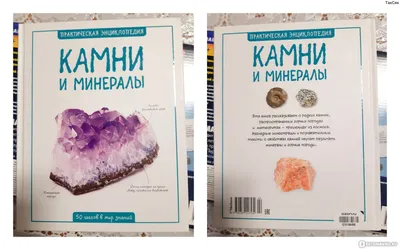 Энциклопедия для Детей Камни – купить в интернет-магазине OZON по низкой  цене