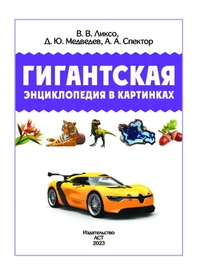 Минералы и драгоценные камни – Книжный интернет-магазин Kniga.lv Polaris