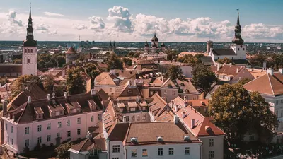 Могут ли закрыть эстонскую границу: что известно