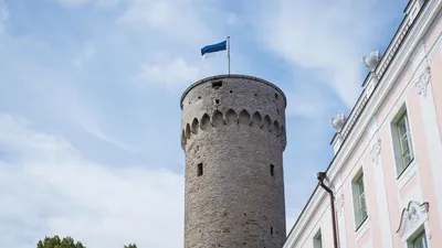 С днем рождения, Эстония! | Tallinn