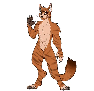 My first furry art ! Should I make more chara designs ? : r/furry