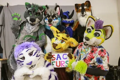 9 questions about furries you were too embarrassed to ask - Vox