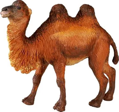 Игра мозаики верблюда шаржа Иллюстрация вектора - иллюстрации насчитывающей  иллюстрация, жизнерадостно: 36527717