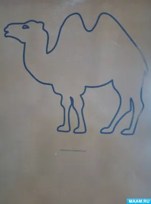 Верблюд шаржа в пустыне завершите головоломку и найдите Mi Иллюстрация  вектора - иллюстрации насчитывающей творчество, образование: 64630417