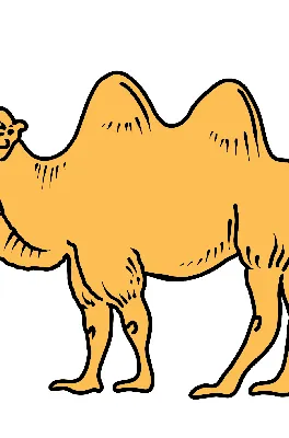 Купить картину маслом Верблюды для интерьера от 5630 р. в галерее DasArt
