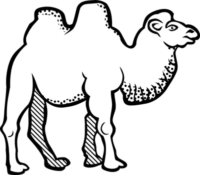 Картинки на тему #верблюд - в Шедевруме