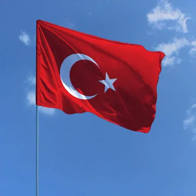 Герб России и герб Турции. Похожи ли они? | Герб, Символы, Флаг