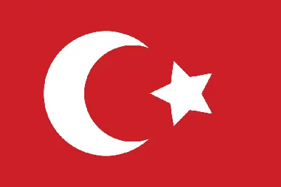 0190 Шеврон Флаг Турции