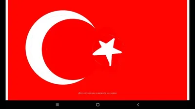 Турецкий флаг ✓ купить в Москве недорого на заказ