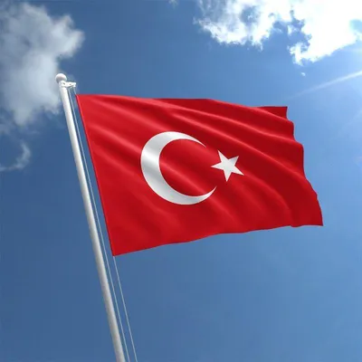 Флаг Турции Значок, Стиль Клипарты, SVG, векторы, и Набор Иллюстраций Без  Оплаты Отчислений. Image 68454988