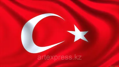Государственный флаг Турции, размер: 15х22 см (id 93789158), купить в  Казахстане, цена на Satu.kz