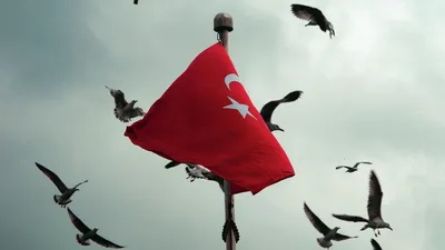 флаг турции Png PNG , индейка, флаг турции, флаг турции Png PNG PNG  картинки и пнг рисунок для бесплатной загрузки