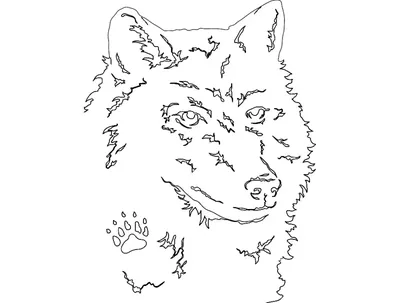 Купить Печатка с головой волка R254 в интернет-магазине Mr. MORGAN.  Доставка по всей России