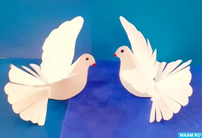 Летящий голубь - Птицы - Раскраски антистресс