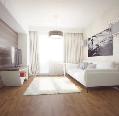 Дизайн однокомнатной квартиры: 100 идей дизайна интерьера однокомнатной  квартиры с фото | Houzz Россия