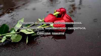 Игорь Артамонов выразил соболезнования родным и близким погибших и  пострадавших в Перми