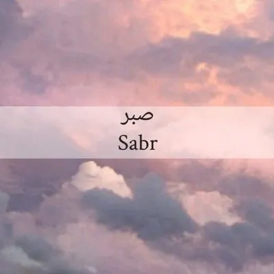 SABR is wanted by muslimahbeauty on DeviantArt