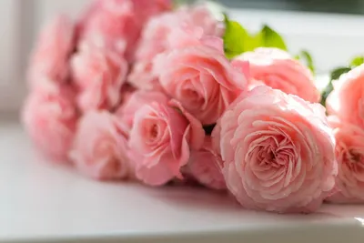 Самые красивые цветы для самых любимых 💖 ⠀ Эффектный букет из 201 розы в  коробке — 9 690 руб. ⠀ Закажите букет: 📍в Директе 📍в WhatsApp +7… |  Instagram