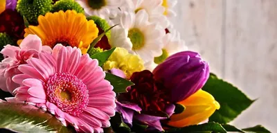 Топ-12 самых красивых цветов читайте на сайте Premium-flowers