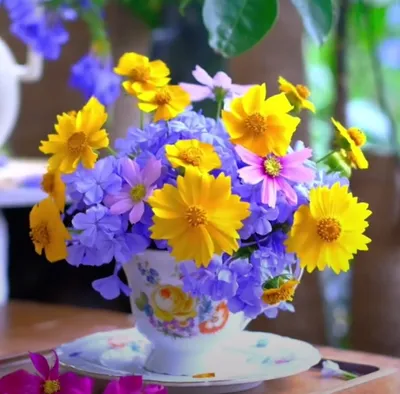 Топ-10 самых дорогих цветов в мире | Блог Цветок Короля Артура