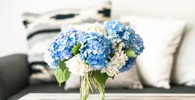Beautiful bouquets. Красивые букеты. PNG. | Цветочное искусство, Цветочная  рамка, Красивые цветы