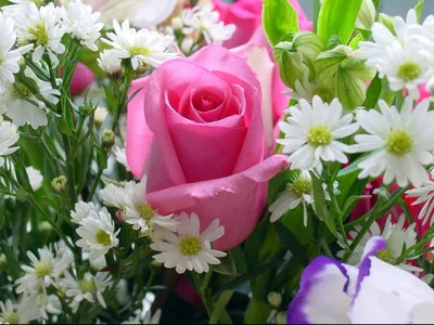 ೋ ღ Самые красивые цветы ೋ ღ - онлайн-пазл