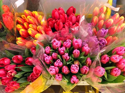 ТОП 10 любимых цветов девушек и женщин - рассказывают флористы