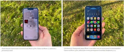 Противоударный чехол для Apple iPhone 11 Pro Max с защитой камеры, цветными  кнопками и принтом сзади. - купить с доставкой по выгодным ценам в  интернет-магазине OZON (548067662)
