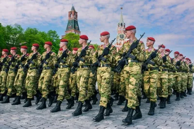Призыв увеличен не будет. Что значит увеличение численности армии России? |  Армия | Общество | Аргументы и Факты