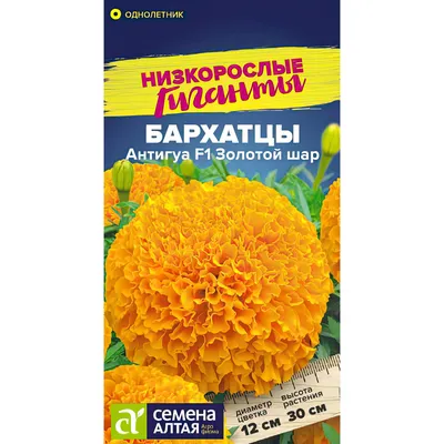 Бархатцы Антигуа F1 Еллоу (Antigua F1 Yellow) семена купить в Украине |  Веснодар