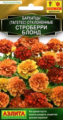 Бархатцы отклоненные Дюранго Би семена съедобных цветов купить в магазине  «Ильинские травы»