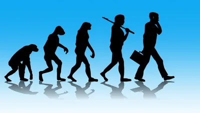 Эволюция человека и ее этапы» — создано в Шедевруме