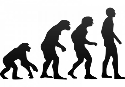 Картинка эволюция человека обои