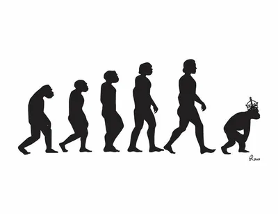Загадка эволюции человека