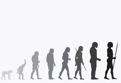 Да здравствует эволюция: серия саркастичных иллюстраций о