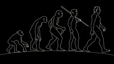 Статуэтка \"Эволюция человека\"(68x8,5x21,5cm)