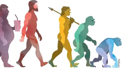 Будущая эволюция человека. Пишут футурологи - Антропогенез.РУ