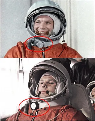 Обои на рабочий стол Первый космонавт Юрий Гагарин в скафандре, держит на  руках одну из первых собачек, слетавшую в космос, обои для рабочего стола,  скачать обои, обои бесплатно